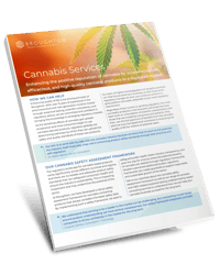 Cannabis Services Thumbnail
