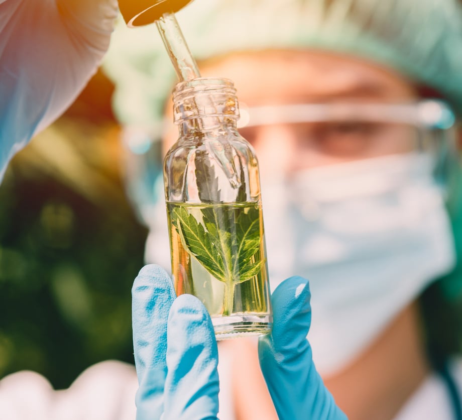 IndustryPage_Cannabis_H4_V1_stock IndustryPage_Cannabis_H4_V1_stock