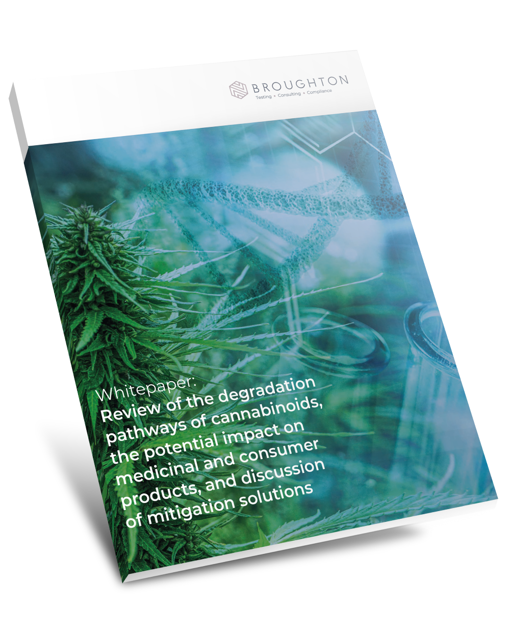 Broughton Cannabis Degredation Pathways Whitepaper