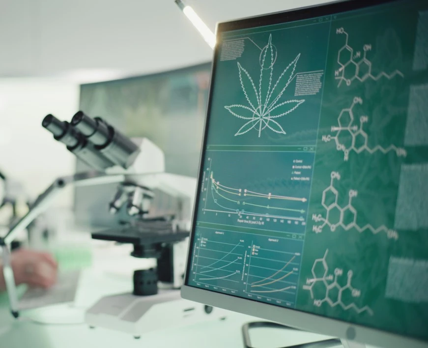 modern Cannabis Testing Lab