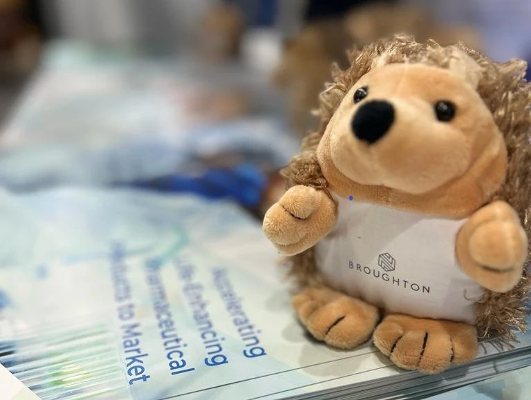 Broughton hedgehog at event stand