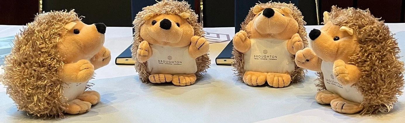 Broughton hedgehogs at event
