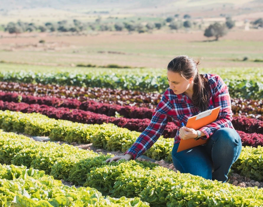 woman with clipboard inspecting produce 