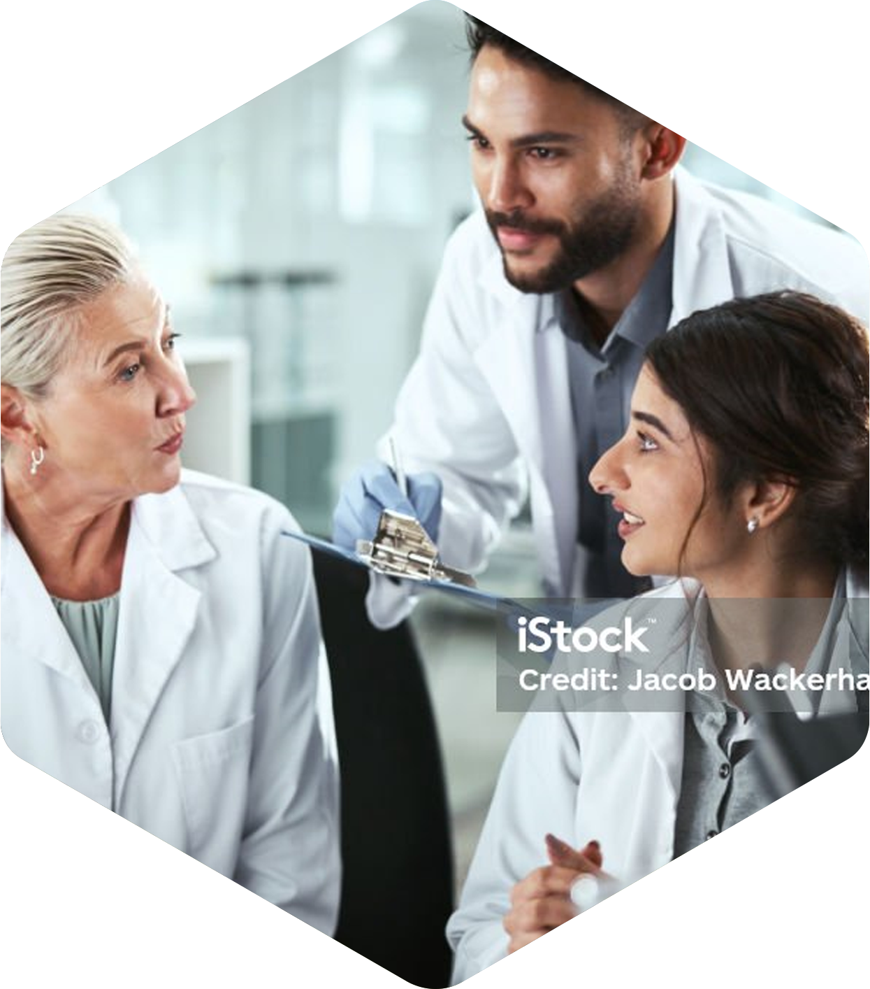 hex-image-animal-health-h4 hex-image-animal-health-h4