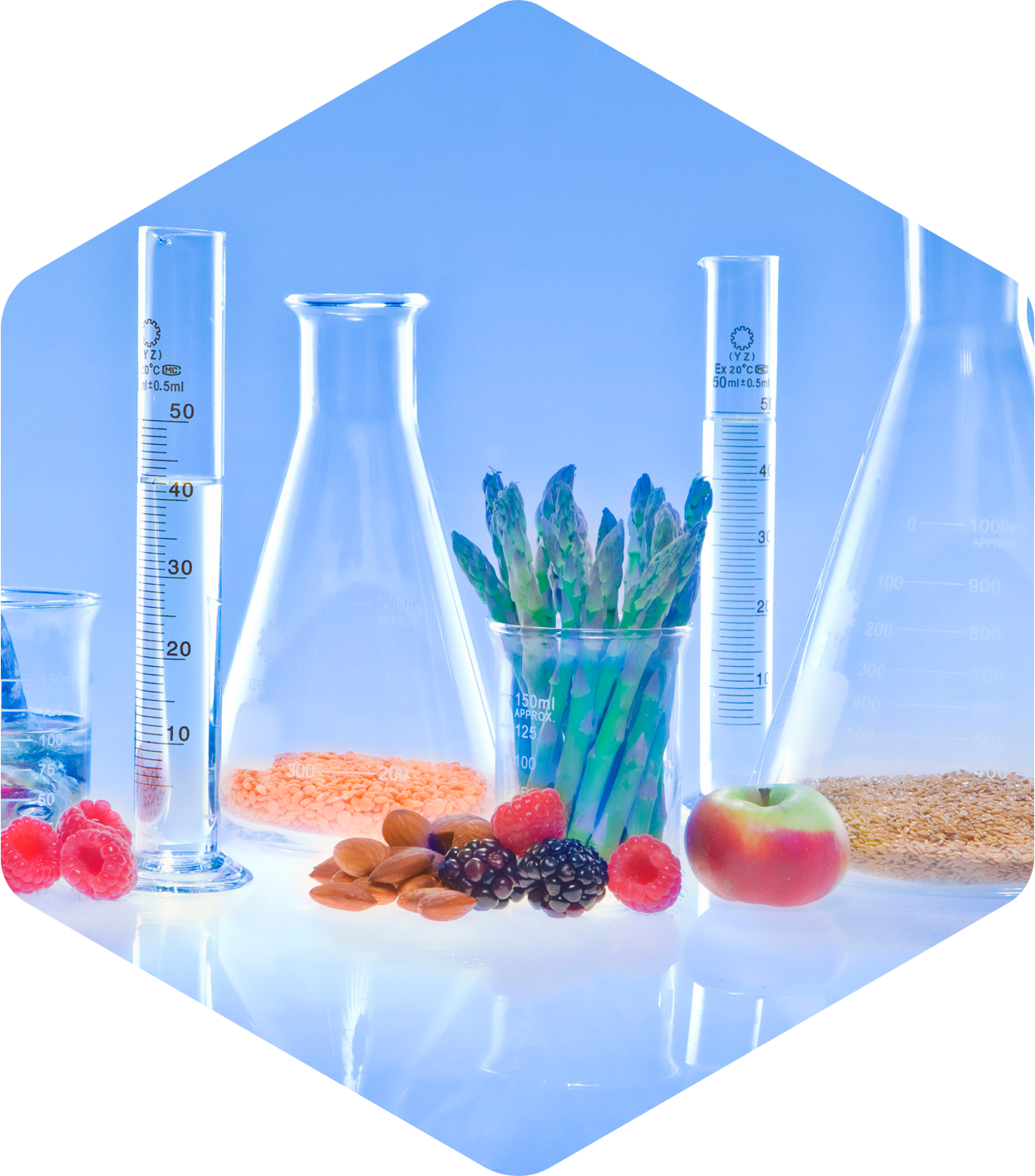 hex-image-food-water-h2