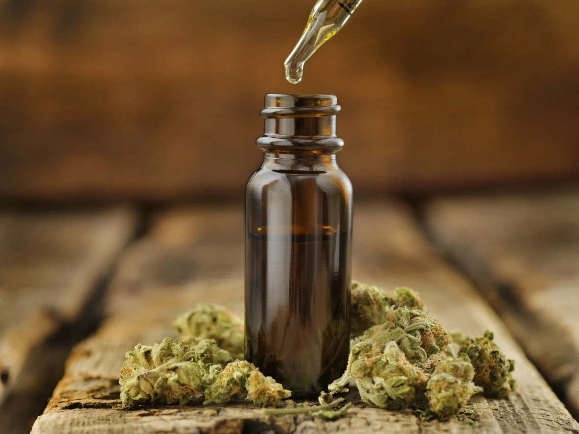 cbd oil and cannabis