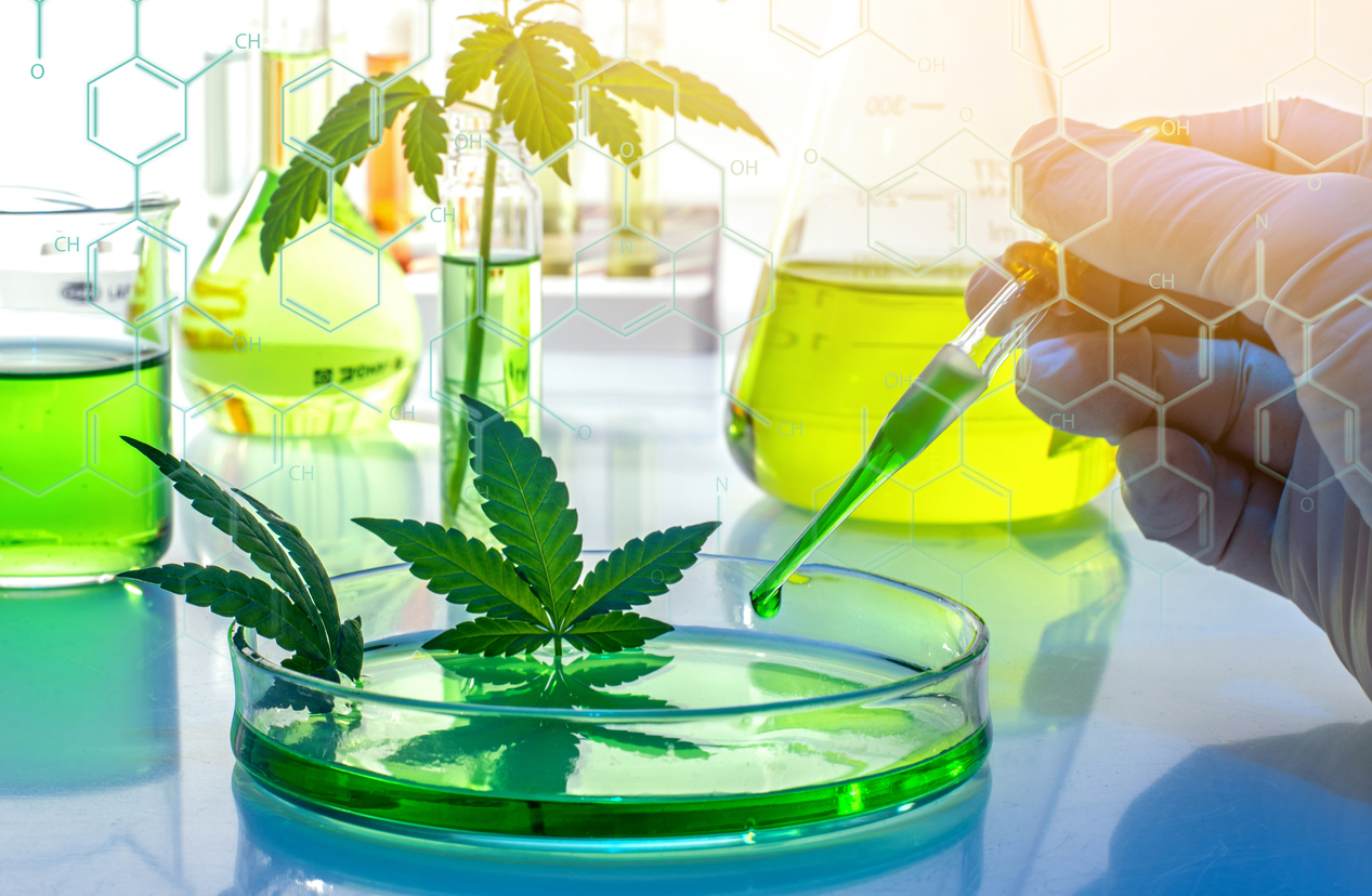 How-can-we-enhance-CBD-product-safety-standards?