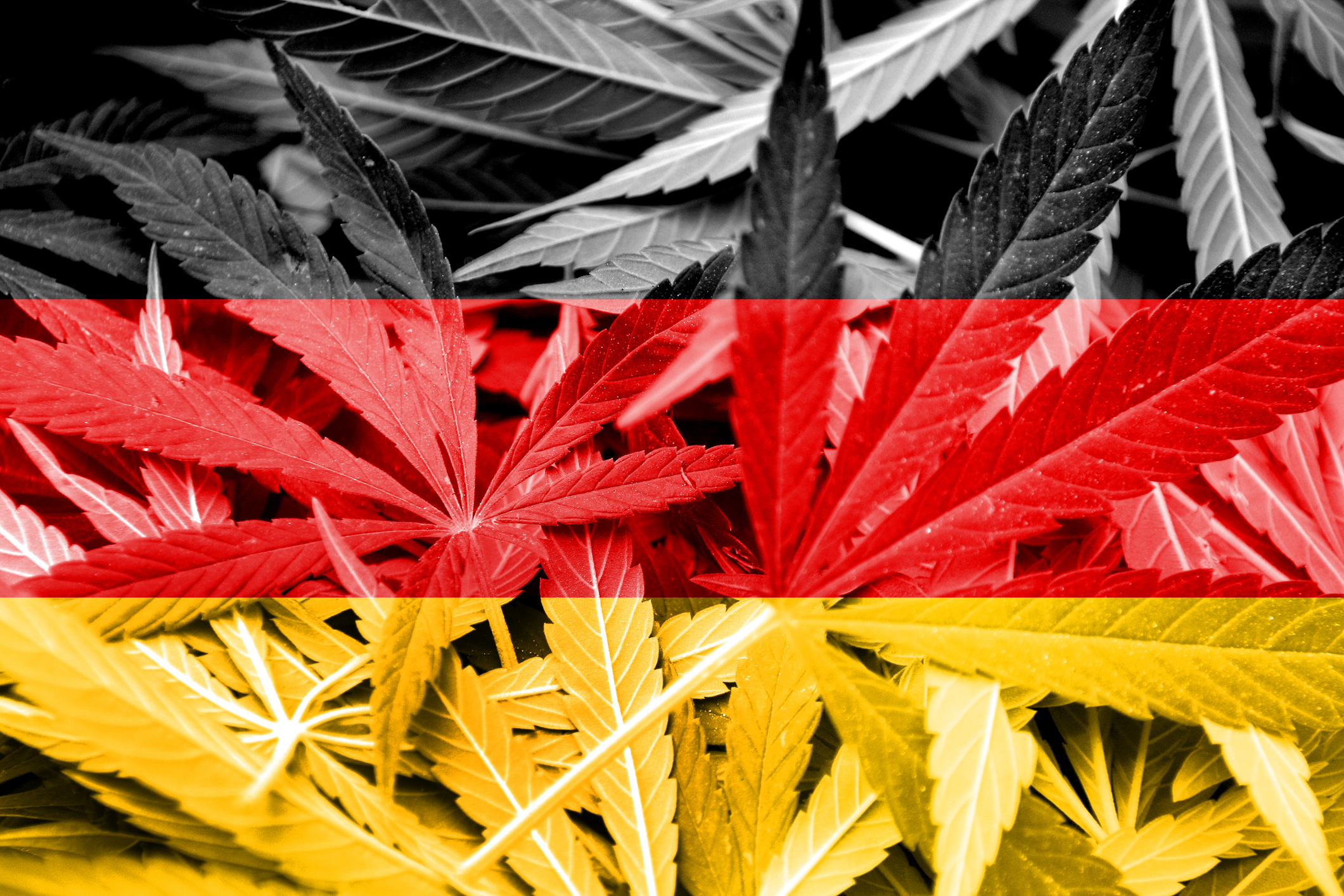 German-cannabis-legalization-is-on-the-way-but-how-will-it-look?